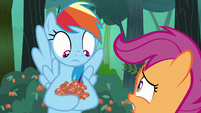 Rainbow Dash looks at berries in her hooves S7E16