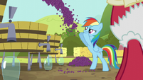 Rainbow Dash tossing grapes S5E17