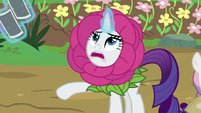 Rarity discarding the photographs S7E6