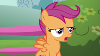 Scootaloo "which is actually impossible" S6E19