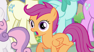 Scootaloo Babs, bully, payback S3E4