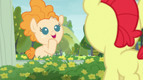 Young Pear Butter "I like that name" S7E13