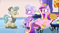 Princess Cadance and Crystal Ponies