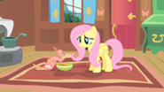 201px-Fluttershy and Philomena2 S01E22