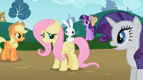 Angel sits on Fluttershy's back S2E07