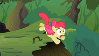 Apple Bloom about to fall down the cliff S2E06