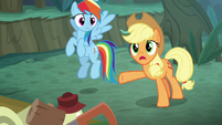 "Rarity, what in the hay are you gonna do with a fishin' rod?"