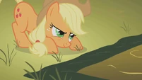 Applejack ready to jump S1E13.png (303 KB) Fall Weather Friends
