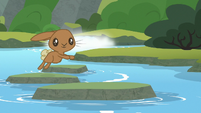 Brown bunny jumps across the stream S8E6