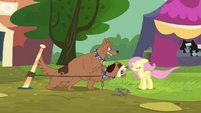 Fluttershy is unfazed by this fierce beast.