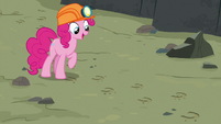 Pinkie Pie "Maud tracks!" S7E4