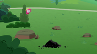 Pinkie Pie pops out from behind tree S9E25