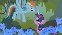 Rainbow Dash touch Twi's horn S1E09