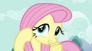 S04E16 Fluttershy..