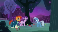 Starlight introduces Trixie to Sunburst S7E24.png (762 KB)