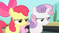 Apple Bloom and Sweetie are irritated.