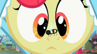 Apple Bloom with bee on nose 2 S2E12