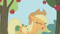 Applejack hit by an apple S01E04