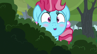 Chiffon Swirl blushing S7E13