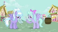 Cloudchaser and Flitter seem interested.