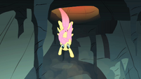 Fluttershy falling down the hole S1E19