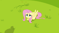 Fluttershy weak smile S2E22