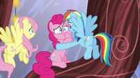 Rainbow Dash consoling Pinkie Pie S5E19