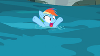 Rainbow Dash in water S2E8