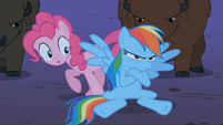 Rainbow Dash legs crossed S01E21