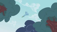 Rainbow Dash flying overhead.