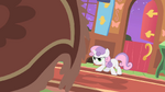 Sweetie Belle stares down the 'creature' S01E17