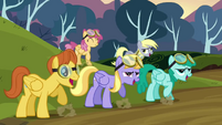 The pegasi celebrating S2E22