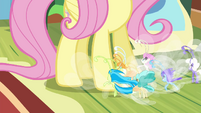 Breezies pleading to Fluttershy S4E16