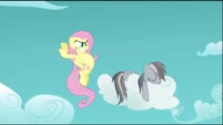Fluttershy is going to hit Traitor Dash so hard!
