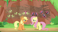 Fluttershy -last time they all argued- S8E23