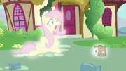 Fluttershy and Angel switch places S9E18