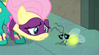 Fluttershy and firefly "are you okay" S4E06