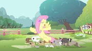 Fluttershy le canta a sus animales.