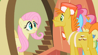 Fluttershy love to S2E13