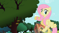 Fluttershy pointing at the tree S2E07