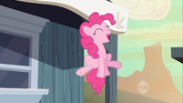 Pinkie Pie happy she found Applejack S2E14