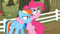 Pinkie Pie talking to Rainbow Dash about the cider S2E15