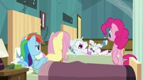 Ponies looking at Rainbow's roommate S2E16