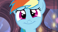 Rainbow Dash's comforting smile S5E19