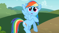 Rainbow Dash thank you S2E8