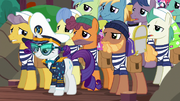 Rarity with a dozen porter ponies S6E22