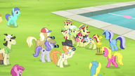 S04E20 Babcia Smith i Apple Bloom wygrywają zawody