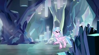 Silverstream exploring the caves S8E22