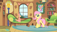 201px-Fluttershy taking care of Philomena S01E22