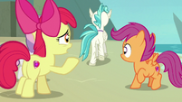 Apple Bloom calling out to Terramar S8E6